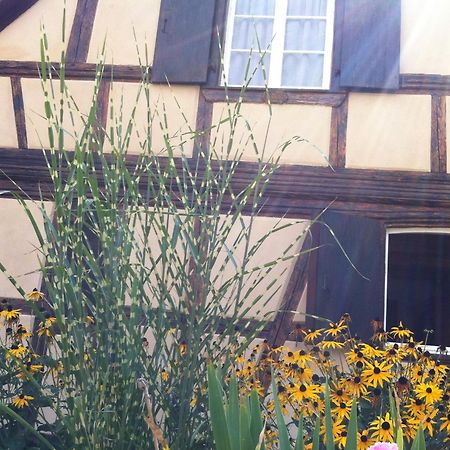 Chambres d'Hôtes La Stoob Strasbourg Sud Illkirch-Graffenstaden Exterior foto